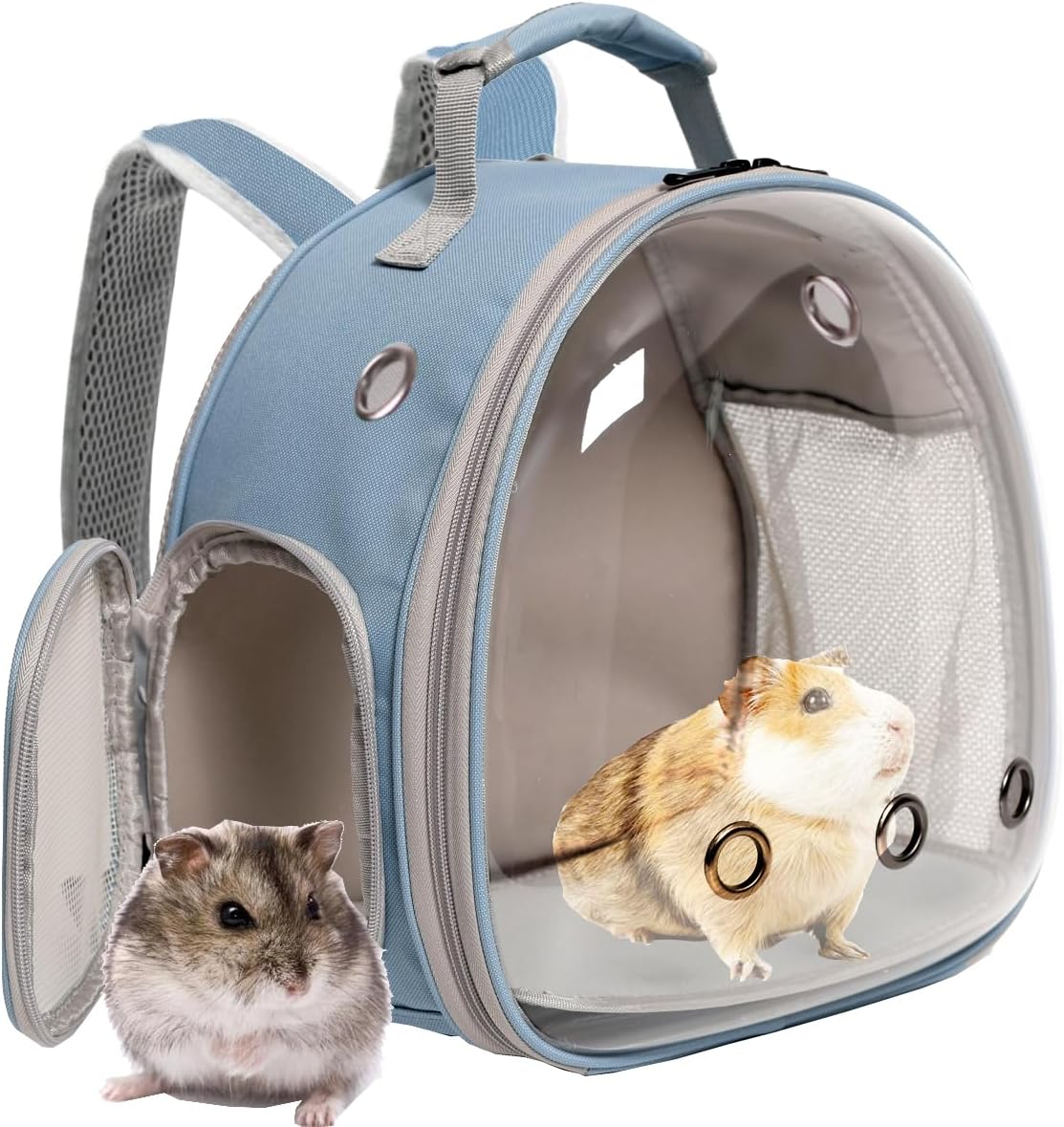 Bearded Dragon Backpack Carrier,Reptile Portable Backpack Carrier,Space Capsule Clear Bubble Window Travel Backpack for Lizard Travel,Guinea Pig,Rabbit(Blue, Backpack)