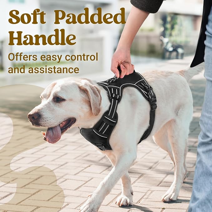 rabbitgoo Dog Harness Small Sized Dog, No Pull Pet Harness with Soft Padded Handle, Adjustable Reflective Vest with 3 Buckles, Easy Walking Harness with 2 Leash Clips, Black, S
