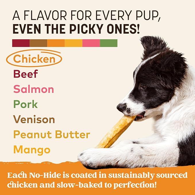 Earth Animal No Hide Medium Chicken Flavored Natural Rawhide Free Dog Chews Long Lasting Chew Sticks | Treats for Large Dogs | Great for Aggressive Chewers - 6 Count