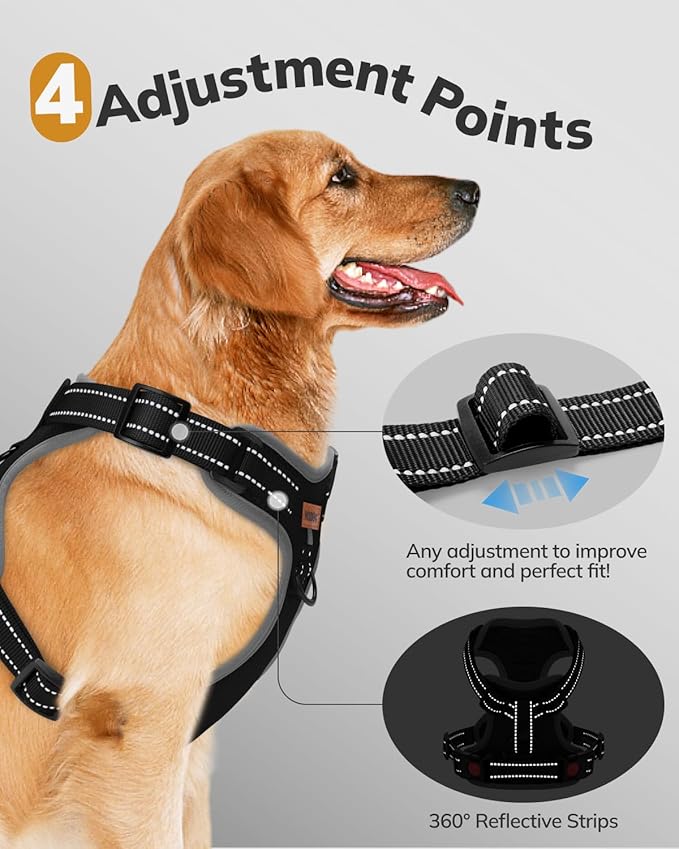 MIDOG No-Pull Dog Harness | Adjustable & Reflective Pet Harness Leash Set for Small Medium Large Dogs Walking, Training| No Choke, Front Clip, Soft Padded Vest with Easy Control Handle - Black, M