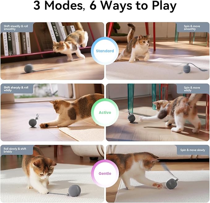 Cheerble Interactive Cat Toys for Indoor Cats - Wicked Ball Duo 2 Automatic Cat Toy with Dual Interchangeable Shells, Electronic Pet Toy with Bird Chirping Sounds, Rolling Cat Toy for Kittens, Blue