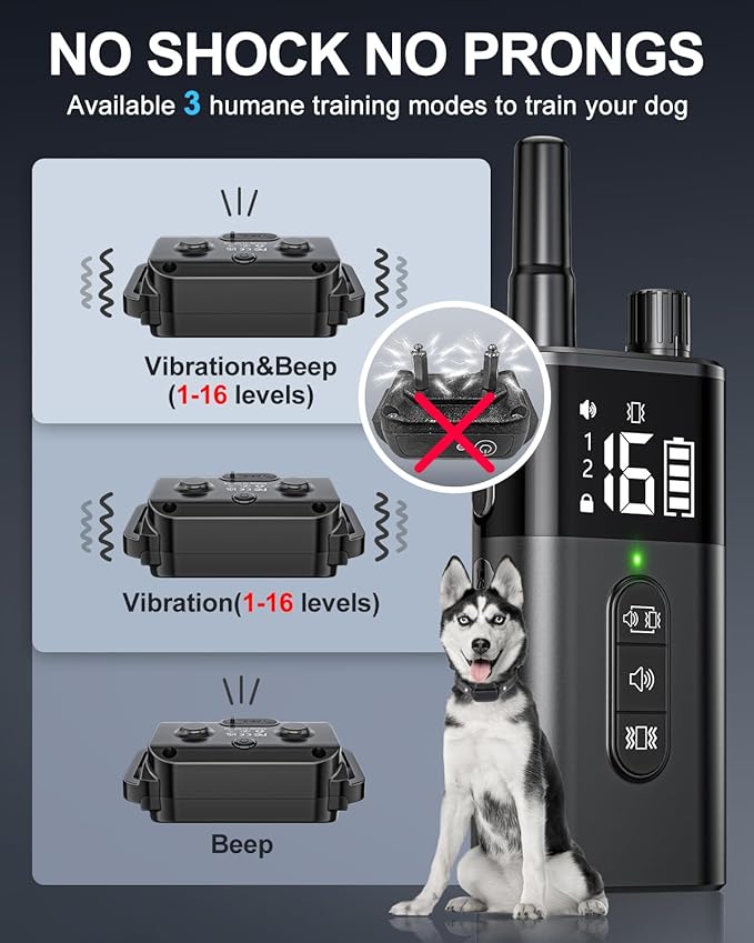 No Shock Dog Training Collar with Remote, Dog Vibration Collar with Controller Beep and Vibrate Only, Safe Lock Waterproof Rechargeable Vibrating Collars for Dogs(10-120 lbs)-No Prongs (Black)