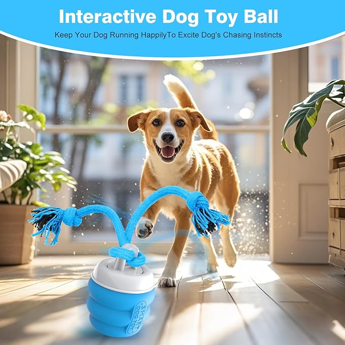 Interactive Dog Toys Balls,Squeaky Dog Toy Active Rolling Ball for Training,Fit for Medium/Small Puppy and Boredom Dogs,Rechargeable Smart Automatic Dog Toys(Blue)