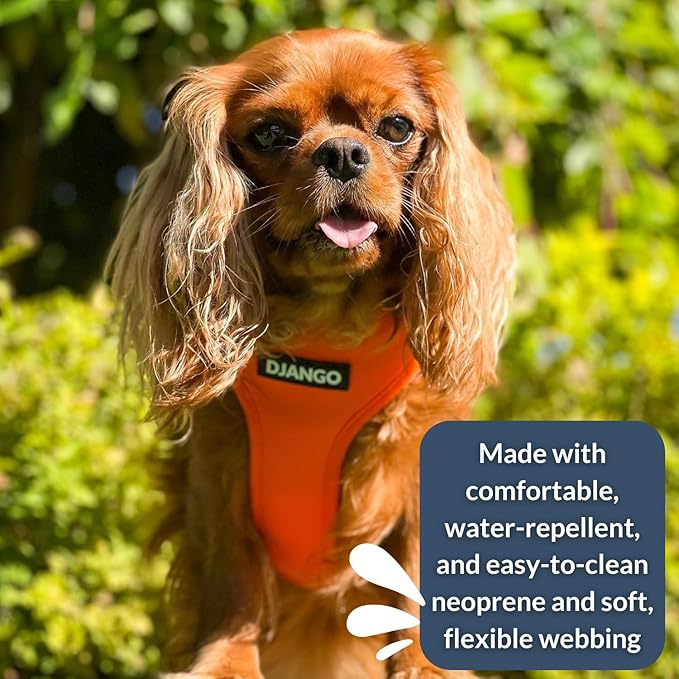 DJANGO Adventure Dog Harness - Stylish, & Durable Small Dog Harness for Outdoor Adventures and Everyday Wear - Sunset Orange Neoprene Adjustable Harness for Dogs with Reflective Piping & Brass D-Ring