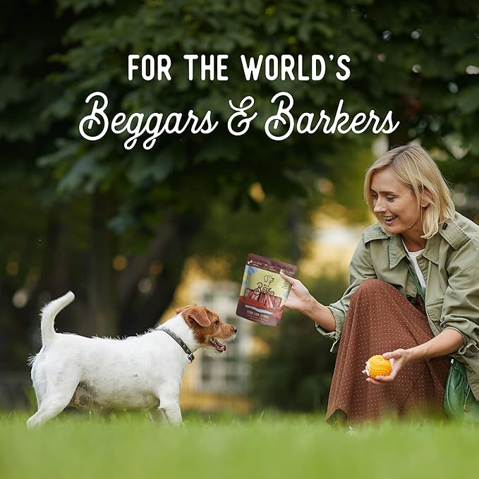 Beg & Barker Pork Jerky for Dogs (4 oz, Pack of 1) - Dog Training Treats - Natural Dog Treats Made in The USA - Grain Free, Diabetic-Friendly, High Protein, Sugar-Free (Pork Dog Jerky)