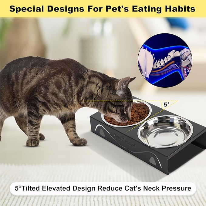 Elevated Cat Bowls 5° Tilted Raised Pet Food Water Bowl Set, 2 Thick Stainless Steel 13.5 oz Cat Dishes Feeder Shallow Wide Cute Whisker Friendly for Indoor Kitten, Small Dogs, Puppy,Black