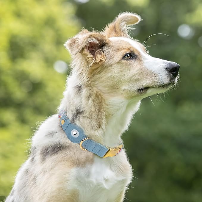 AirTag Dog Collar for Small Medium Large Breed - Adjustable Cute Pattern Dog Collar with Airtag Holder - Soft Leather Tracker GPS Apple Air Tag Pet Collars (Small, 12"-15" Neck Fit, Floral)