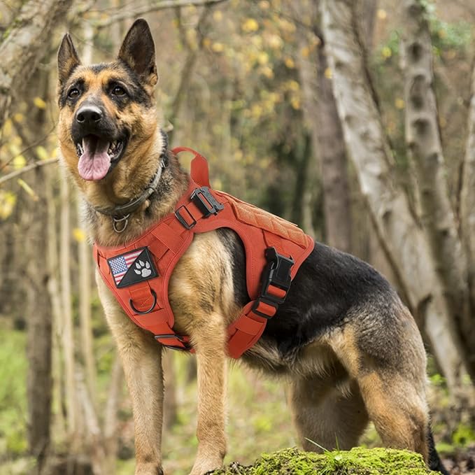 rabbitgoo Tactical Dog Harness for Large, Heavy Duty Pet Harness with Handle, No-Pull Service Vest Large Breed, Adjustable Military Dog Vest for Training Hunting Walking, Orange, XL