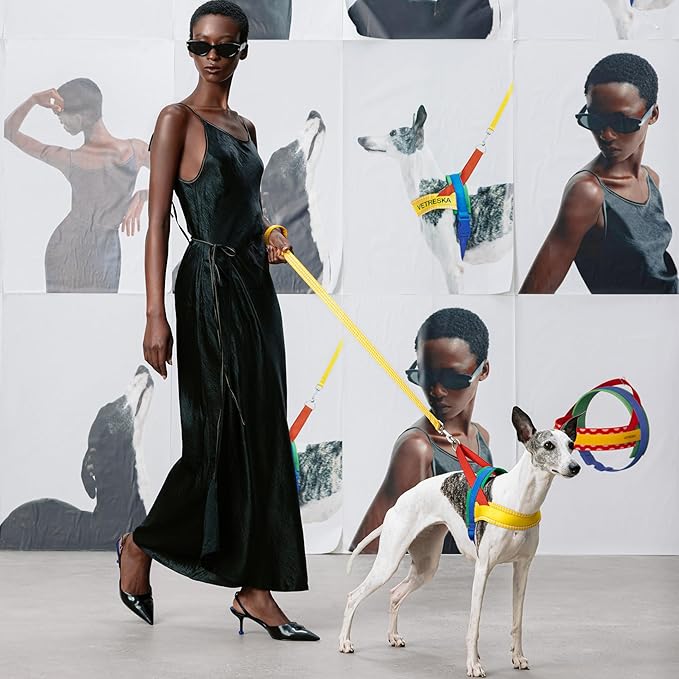 VETRESKA MoMA Dog Harness and Leash Set, Easy Walk Dog Harness for Small Medium Dogs, No Pull Puppy Harness for Walking and Training, Adjustable, Take Control & Anti-Twist Pet Lead Combo(Yellow, S)