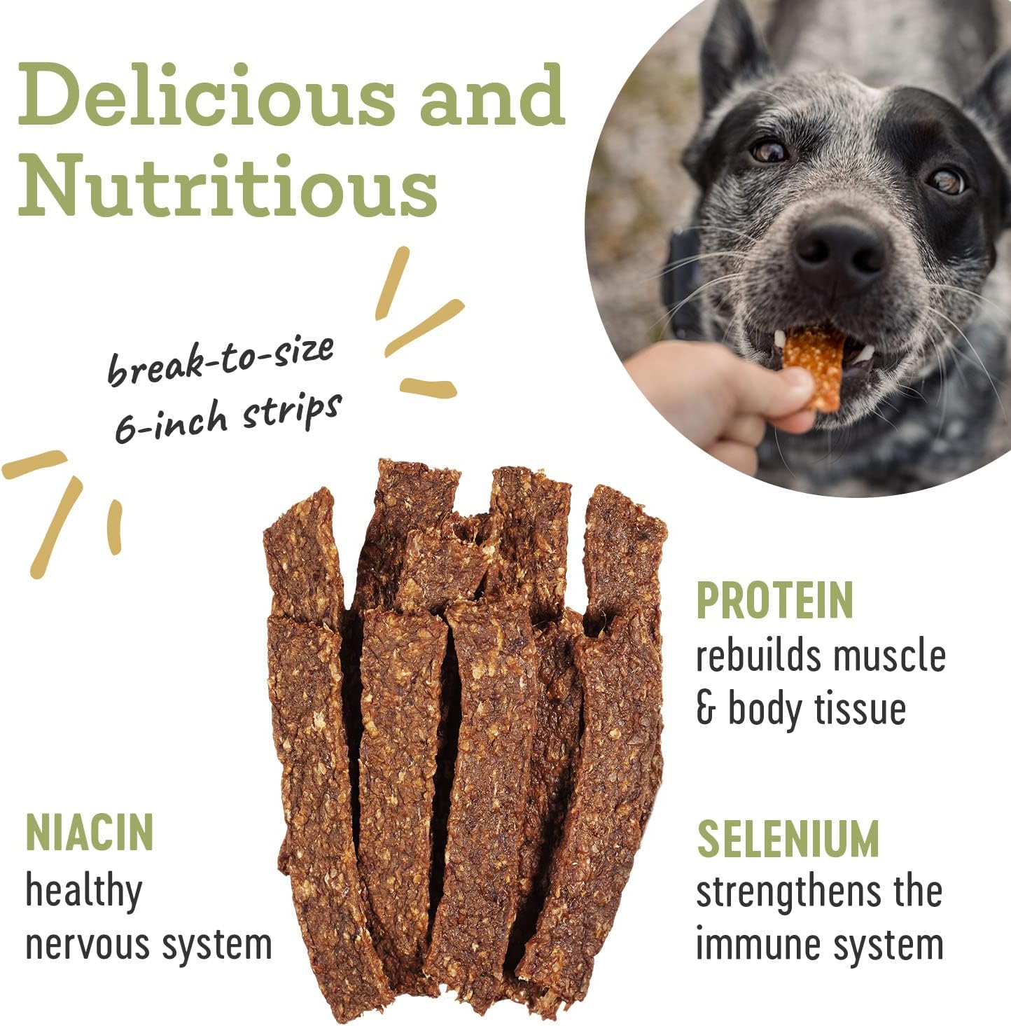Farm Hounds - Chicken Strips - Premium Natural Jerky for Dogs - Made from 100% Humanely Raised Chicken - Break-to-Size - Great for Training & Treats - No Added Fillers - Made in USA - 4.5 oz - 1 Pack