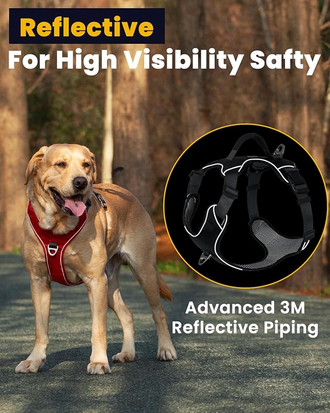 No Pull Dog Harness with Back Control Handle Small Sized, Reflective Vest, Adjustable and Padded, Easy Walker Front/Back Clips (Black, Small)