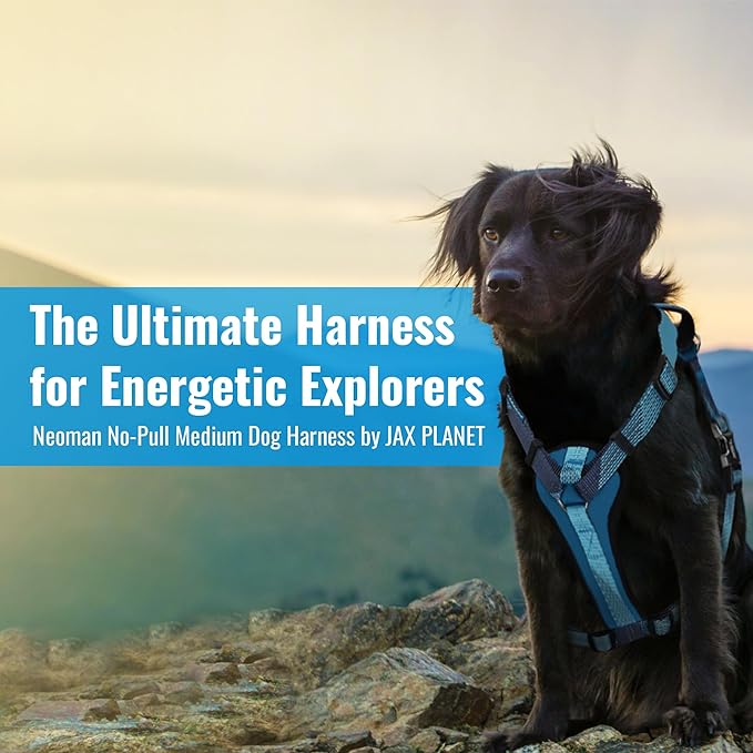 No-Pull Dog Harness with Handle - Escape Proof, Anti-Pulling, Grip Control, Multi-Angle Reflective for Safe Walks & Training, Easy On & Off, Metal Buckle–Pet Harness, Medium/Large Dogs- H4- Black