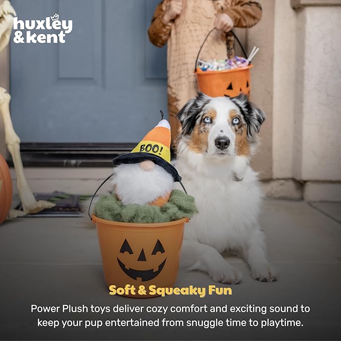 Huxley & Kent Halloween Funny Dog Toy w/Squeaker – Power Plush Squeaky Dog Toys for Small, Medium & Large Dogs – Soft Stuffed Animal for Indoor Play & Fetch - Candy Corn Gnome, One Size