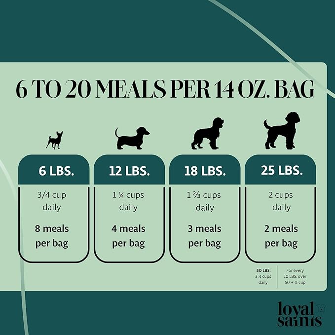 Freeze Dried Raw Dog Food - Premium Beef Flavor with High Protein and Grain Free Dog Food for Small or Large Breeds and Picky Eaters - Versatile as Meal Topper, Snack, and Treats, 5 Oz