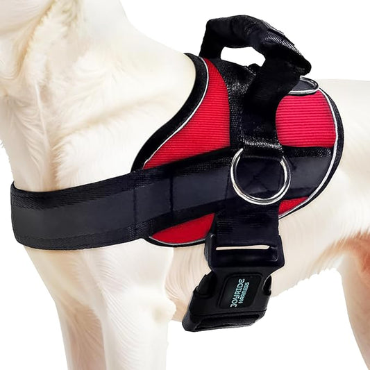 Joyride Harness 2.0 - The Original Side Ring No Pull Dog Harness - No Choke, Escape Proof, Reflective, 3 Leash Clips, Quick Fit Pet Vest - Easy Walks & Training - for Small, Medium & Large Dogs