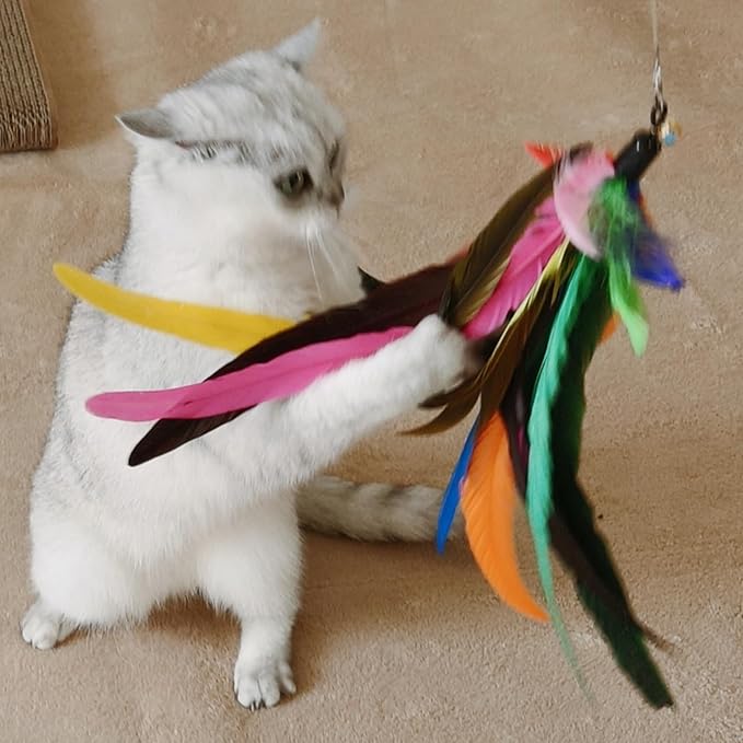 Cat Toys Interactive for Indoor Cats, 2PCS Ultra-Long Teaser(50"+38")+9PCS Da Bird Feather Refills, Fishing Pole Toy,Retractable Cat Wand Toy and Feather Toys Refills Attachment Replacement