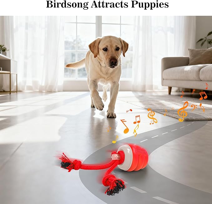 Interactive Dog Toys Balls, Squeaky Dog Toy Active Rolling Ball for Training,Fit for Large/Medium/Small Puppy and Boredom Dogs,Rechargeable Smart Automatic Dog Toys(Red)