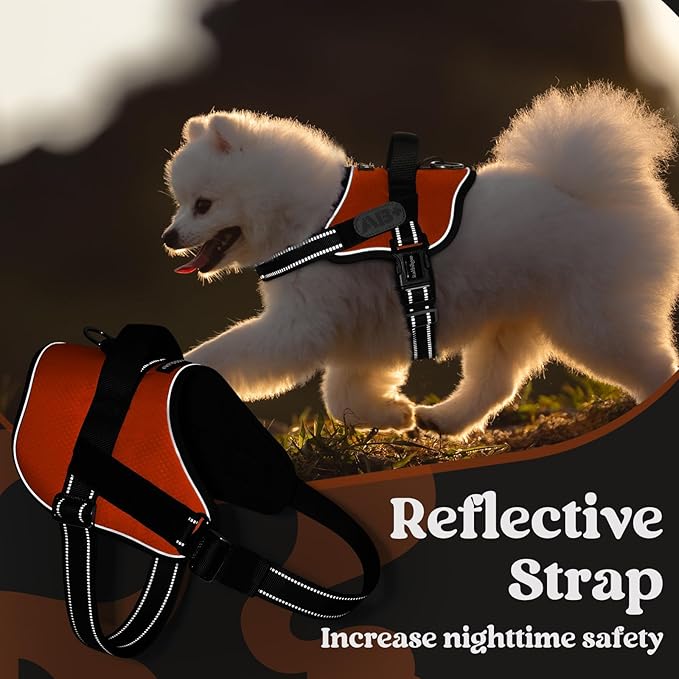 rabbitgoo Dog Harness for Large, Easy On Pet Vest with One Buckle, No Pull Adjustable Service Harness with D-Ring & Handle, Reflective for Safety Walking, Training, Orange, L