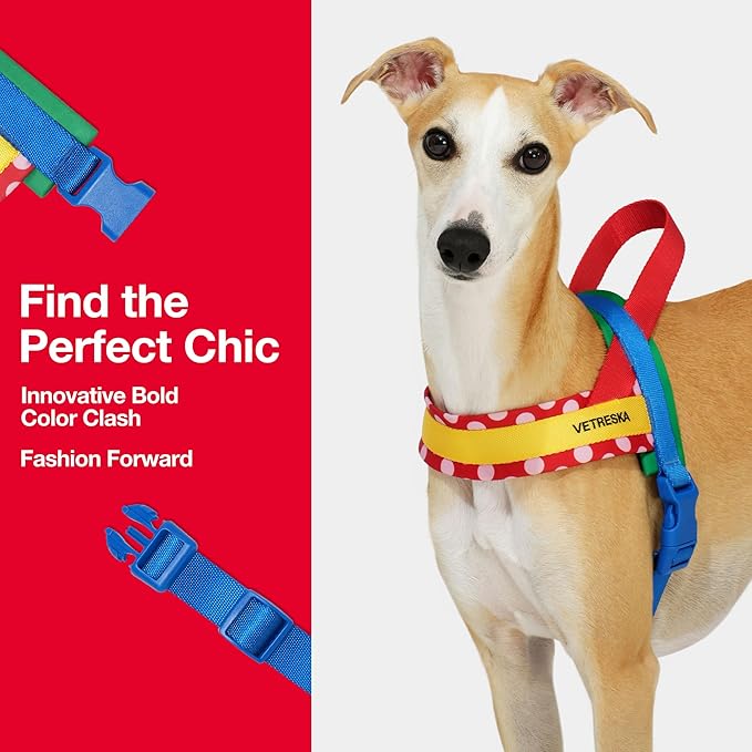 VETRESKA MoMA Dog Harness for Medium Large Dogs, Easy Walk Dog Harness and Leash Set, No Pull Dog Vest Harness for Walking and Training, Adjustable, Take Control & Anti-Twist Pet Lead Combo (Red, M)