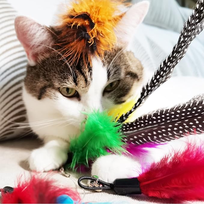 Cat Feather Toys Refills, 8 Pieces Natural Da Bird Feathers Refill, Cat Wand Replacement Feather for Indoor Cats (D)