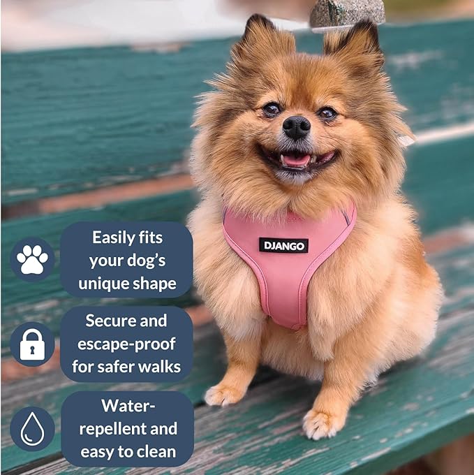 DJANGO Adventure Dog Harness - Stylish, and Durable Large Dog Harness for Outdoor Adventures and Everyday Wear - Quartz Pink Neoprene Adjustable Harness for Dogs with Reflective Piping, Brass D-Ring