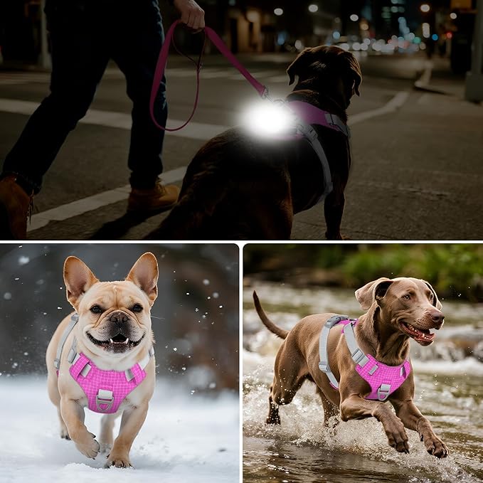 Joytale Lightweight Light Up Dog Harness, Rechargeable No-Pull LED Dog Harness with Detachable Light Box, Airtag Holder, Adjustable for Night Walking, Running & Everyday Use, Hotpink, XL