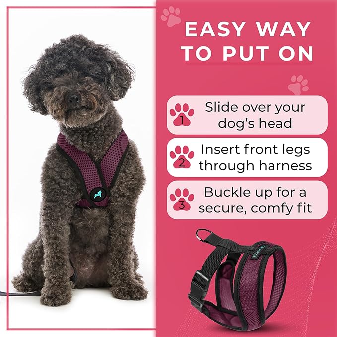 Gooby Comfort X Head In Harness - Purple, Large - No Pull Small Dog Harness Patented Choke-Free X Frame - Perfect on the Go Dog Harness for Medium Dogs No Pull or Small Dogs for Indoor and Outdoor Use