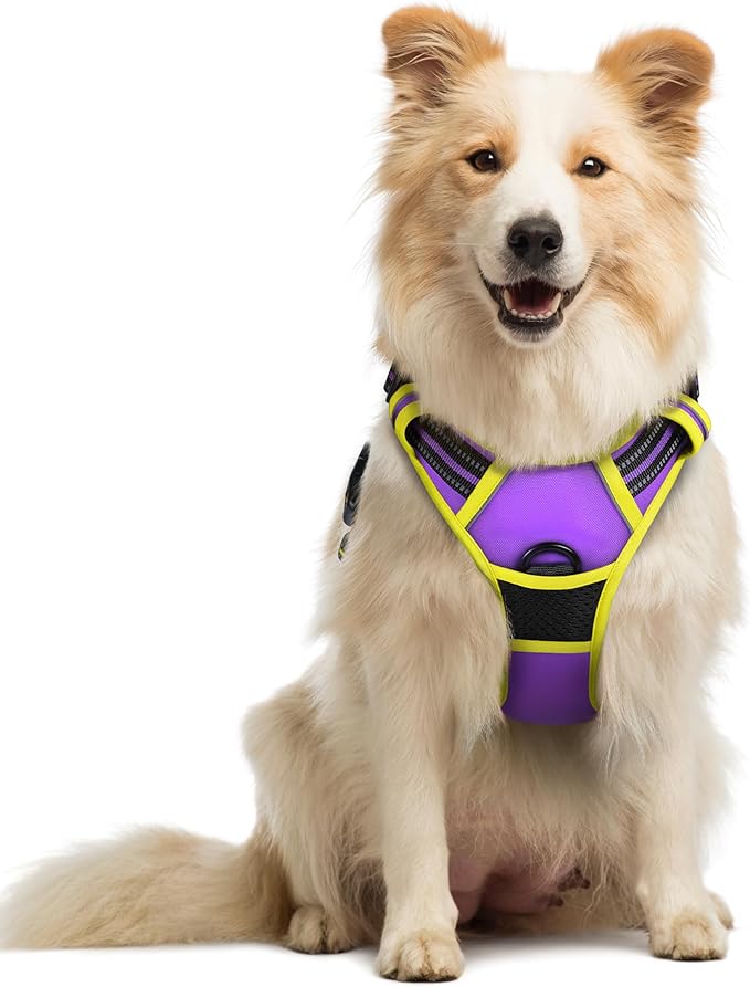 rabbitgoo Dog Harness No Pull with 2 Leash Clips, Adjustable Soft Padded, Reflective Oxford No Choke Pet Vest with Easy Control Handle for Medium Sized Dogs, Purple & Yellow, M