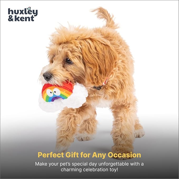 Huxley & Kent Interactive Crinkle Puppy Toys w/ Power Plush Tech - Cute Puppy Toys - Dog Toys for Enrichment (Happy Rainbow, Small)