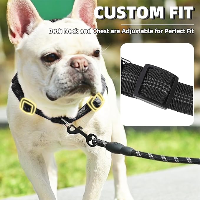 PUPTECK No Pull Dog Harness Medium Sized Dog, Adjustable Reflective Pet Vest Harness with Bungee Handle, Escape Proof No Choke Harness for Medium Dogs Walking Training, Black M