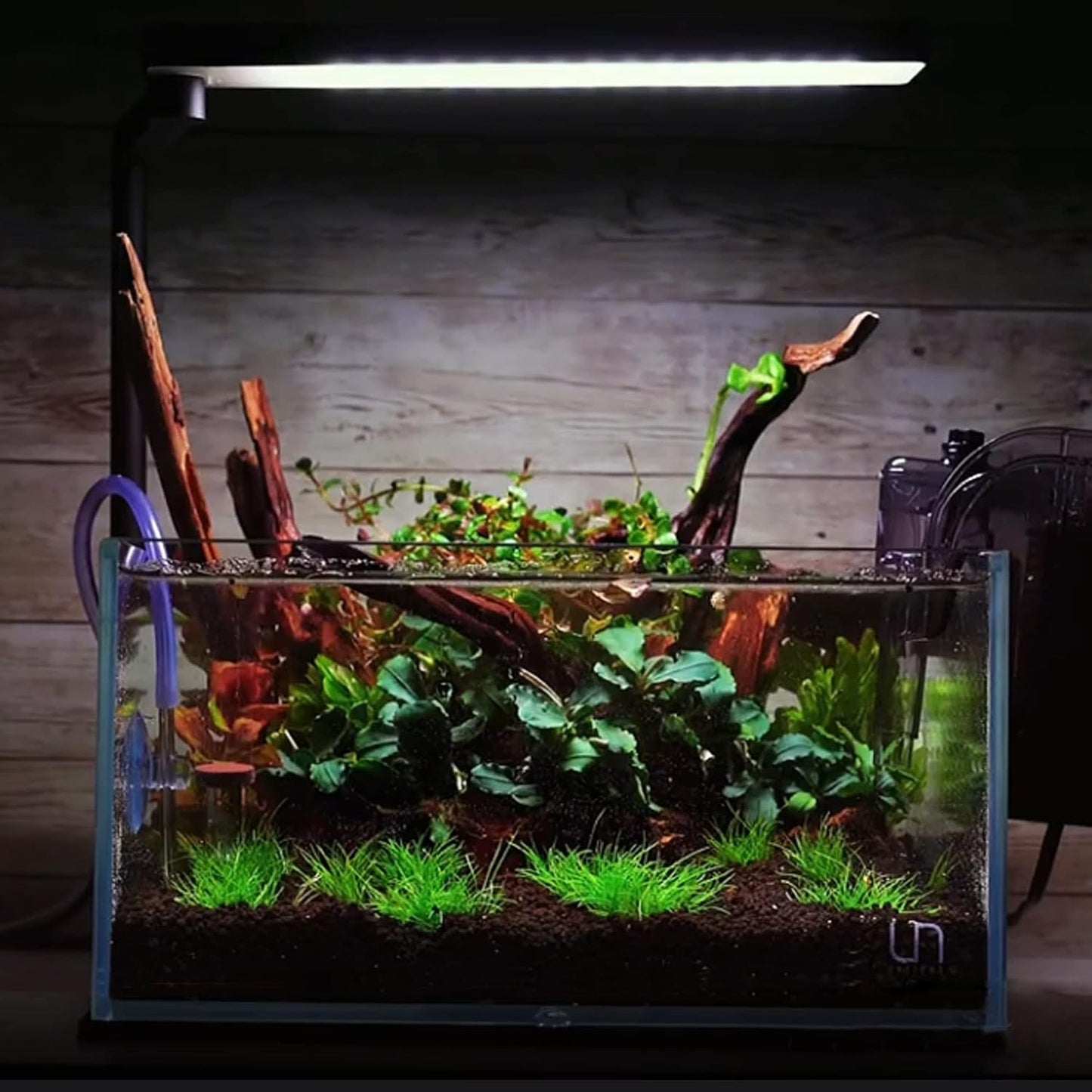 majoywoo Natural Small Coral Driftwood for Aquarium Decor Fish Tank Decorations, Assorted Driftwood Branch 4.5-7.5" 5 Pcs, Reptile Decor