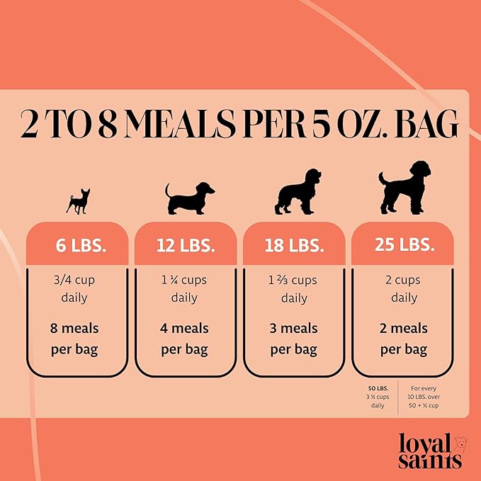 Freeze Dried Raw Dog Food - Premium Turkey and Salmon Flavor with High Protein and Grain Free Dog Food for All Breeds and Picky Eaters - Versatile as Meal Topper, Snack, and Treats, 5 Oz