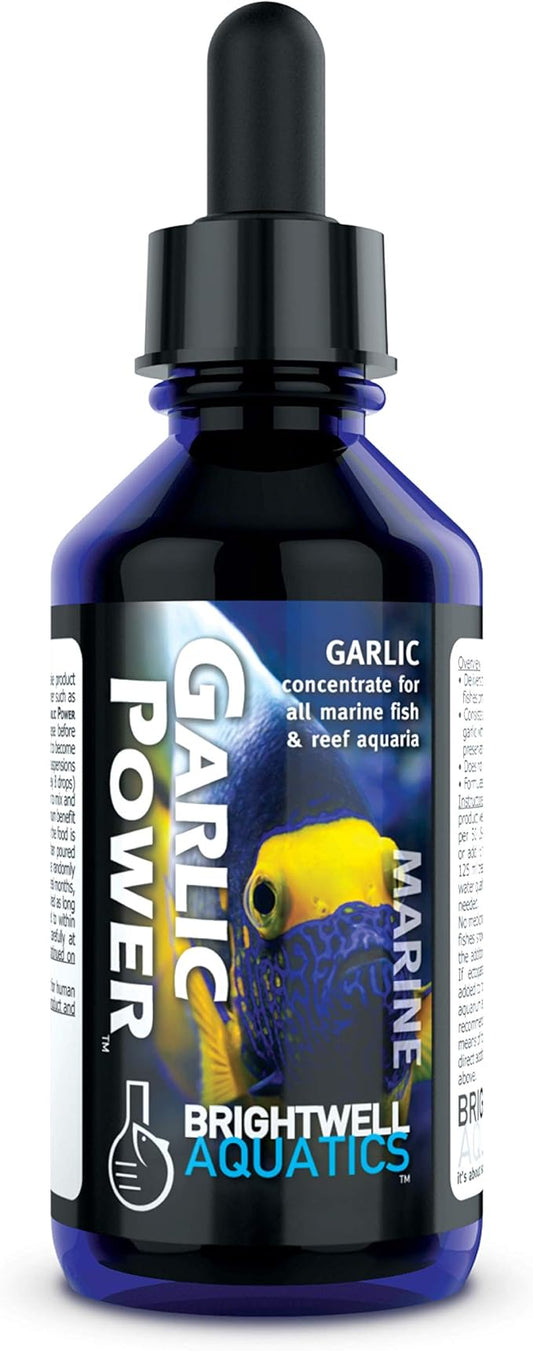 Brightwell Aquatics GarlicPower Garlic Extract for Aquarium Fish Food – Enhances Feeding Response – Boosts Nutrition – Ideal for Marine & Reef Tanks, 1000 ml