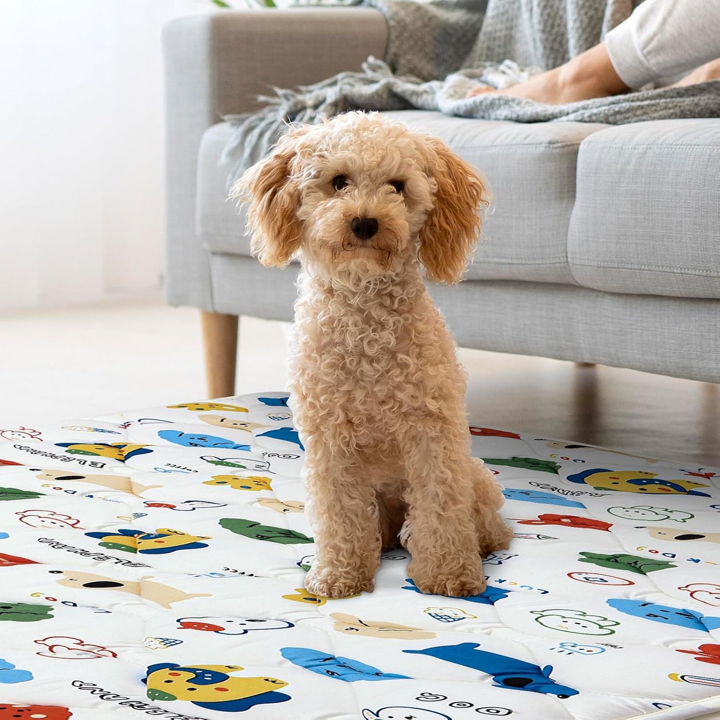 Washable Dog Crate Mat, Ultra Soft Dog Bed Mat for Sleeping with Anti-Slip Bottom for Large Medium Small Dogs Breeds (36" X 23")