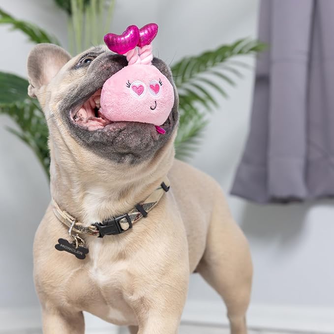 Huxley & Kent Tiny Tuff | Love Bugs | Valentine's Day Extra Tough Dog Toy for Small Dogs | 2-Pack Funny Dog Toy | Features Squeaker, Crinkle | Machine Washable