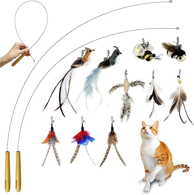 TTcat Interactive Bird & Insect Simulation Cat Toy Set - 10 Pcs Feather Refills & 2 Pcs Cat Wand Toy, 29'' Flexible Steel Wire, Sturdy Wood Handle & Bell, for Indoor Kittens