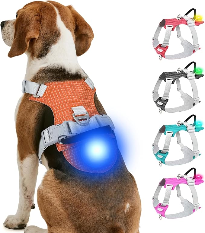 Joytale Lightweight Light Up Dog Harness, Rechargeable No-Pull LED Dog Harness with Detachable Light Box, Airtag Holder, Adjustable for Night Walking, Running & Everyday Use, Orange, M