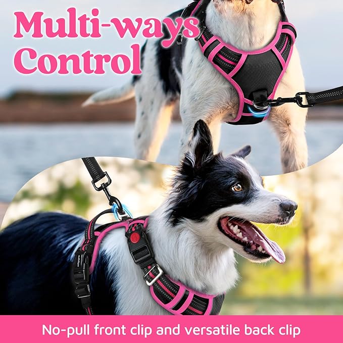 rabbitgoo Dog Harness Small Sized, No Pull Dog Vest with 3 Buckles, Adjustable Soft Padded Pet Harness with Easy Control Handle and Reflective Strips, Black & Rose Pink, S