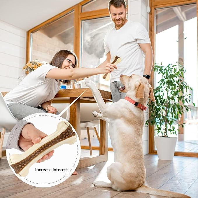 Dog Chew Toys for Aggressive Chewers, 4 Pack Beef Flavor Tough Dog Bones for Large/Medium Breed Dogs, Nylon Pet Teething Toys