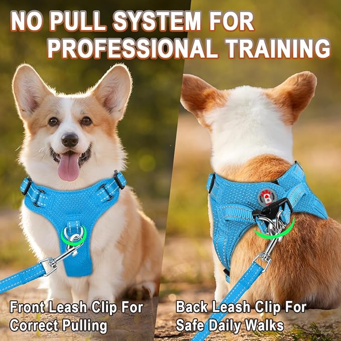 BARKBAY Dog Harness, Reflective Adjustable Puppy No Pull Harness, Breathable Soft, Blue, XXS
