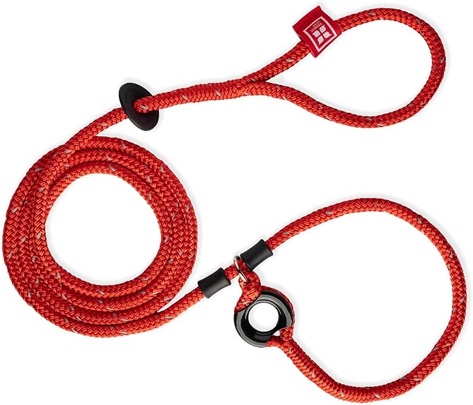 Harness Lead No Pull Dog Harness and Leash Set, Anti Pull Dog Harness, One-Piece Cushioned Rope Safely Prevents Escaping and Pulling *New Insert is Removable (Extra Large, Red)
