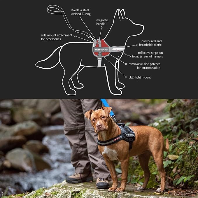 EzyDog Convert Dog Harness – Trail-Ready Rugged Harness for Walking, Hiking & Outdoors with Reflective Piping, Badge Attachment Points, Traffic handle, & Comfort Lining (X-Large, Blue)