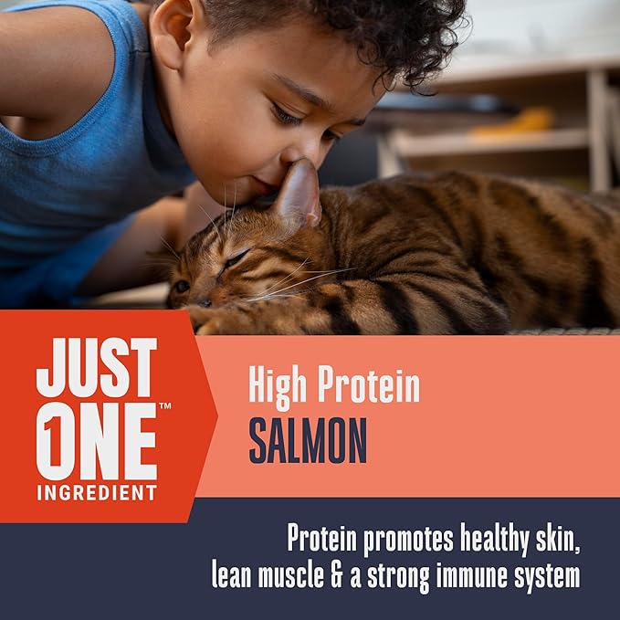 Whole Life Cat Just One Salmon Freeze Dried Cat Treats - Human Grade High Protein Food, Healthy Training Snacks, Freeze Dried Salmon Food Toppers, USA Made Natural Treats - 2.5 oz (Pack of 1)