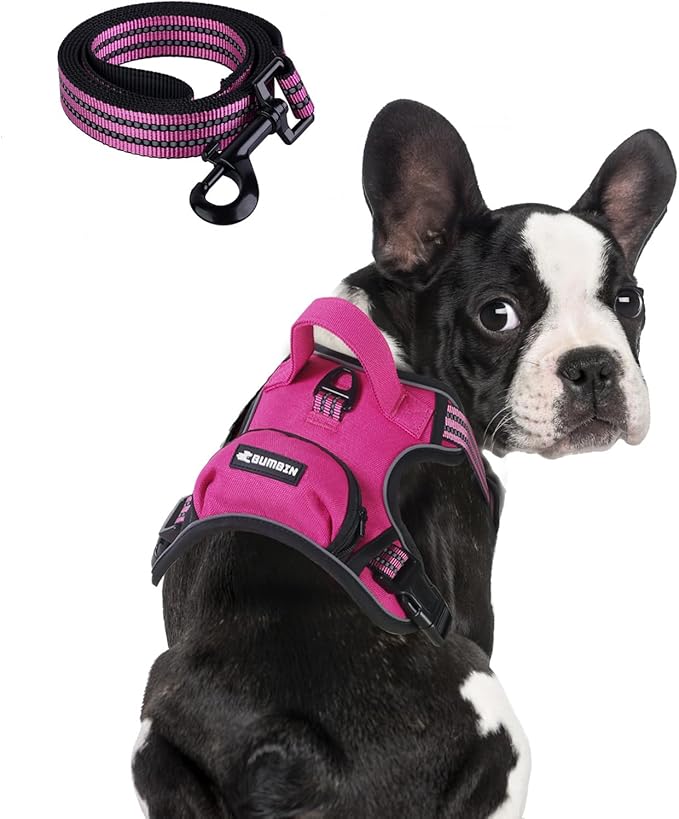 BUMBIN Dog Harness for Large Dogs, No Pull Adjustable No Choke Pet Vest with Dog Leash Fit Smart Reflective Pet Walking Harness for Training Easy Control Soft Handle Rose Red M