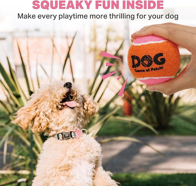 AMA SPORT Squeaky Tennis Balls for Dogs 2.0" Small Dog Tennis Balls for Throwing and Fetching Dog Toys for Training, Exercise, High Bouncing 4 Pack (Orange Pink)