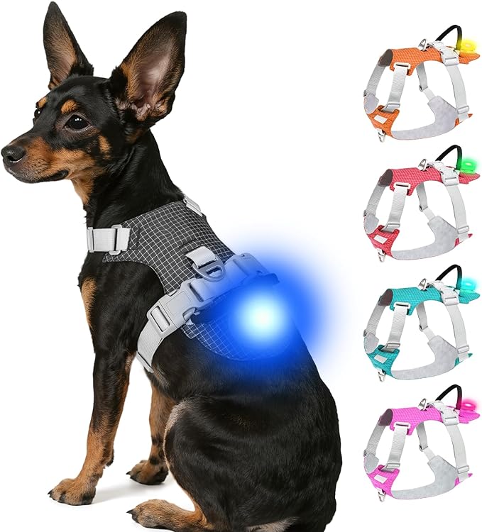 Joytale Lightweight Light Up Dog Harness, Rechargeable No-Pull LED Dog Harness with Detachable Light Box, Airtag Holder, Adjustable for Night Walking, Running & Everyday Use, Black, XS