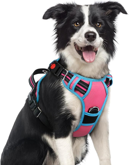 rabbitgoo Dog Harness Medium Sized, No Pull Dog Vest with 3 Buckles, Adjustable Soft Padded Pet Harness with Easy Control Handle and Reflective Strips, Rose Pink & Blue, M