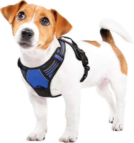 Funfox Dog Harness No Pull, Adjustable Pet Vest Harness Blue S with Handle, 2 Leash Clips for Daily Walking Easy Control, Soft Durable Reflective Comfortable for Small Sized Dogs