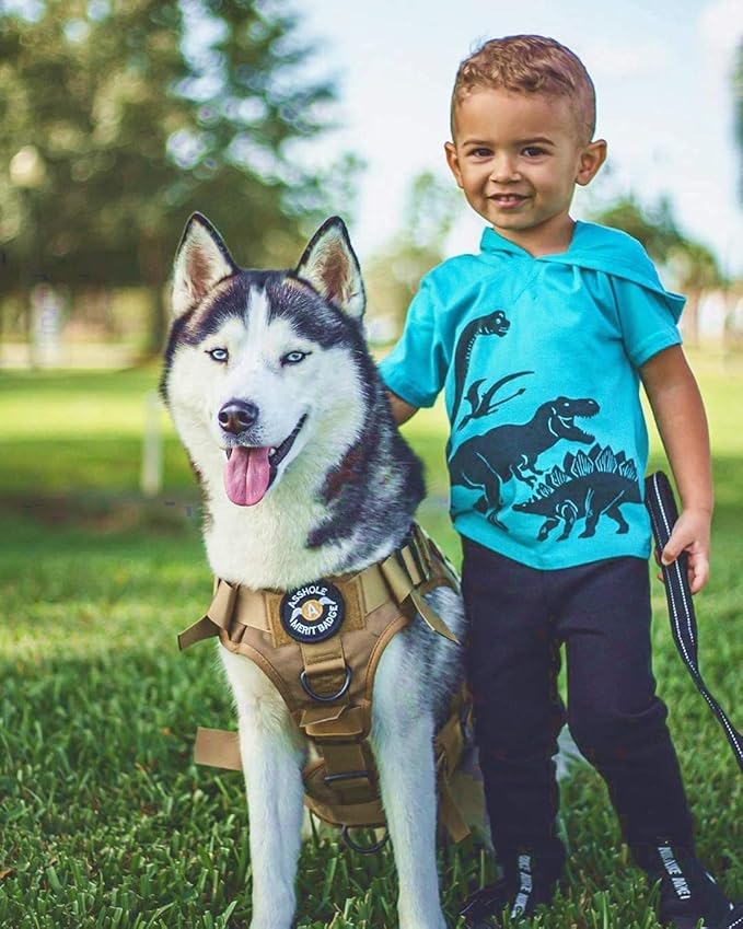 rabbitgoo Tactical Dog Harness for Small, Heavy Duty Pet Harness with Handle, No-Pull Service Vest Small Breed, Adjustable Military Dog Vest for Training Hunting Walking, Brown, S