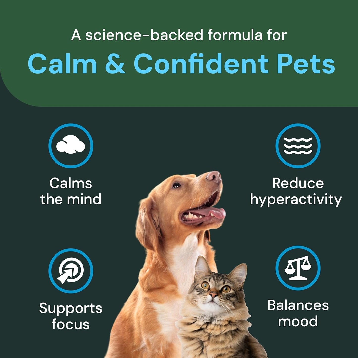 VetriScience Veterinary Strength Calm & Confident Liquid - Liquid Calming Supplement for Dogs & Cats - Pet Relaxation Formula - Clinical Strength - Easy to Administer - Unflavored - 8 oz